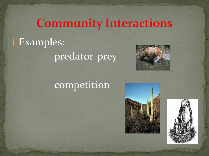 Community Interactions �Examples: predator-prey competition 