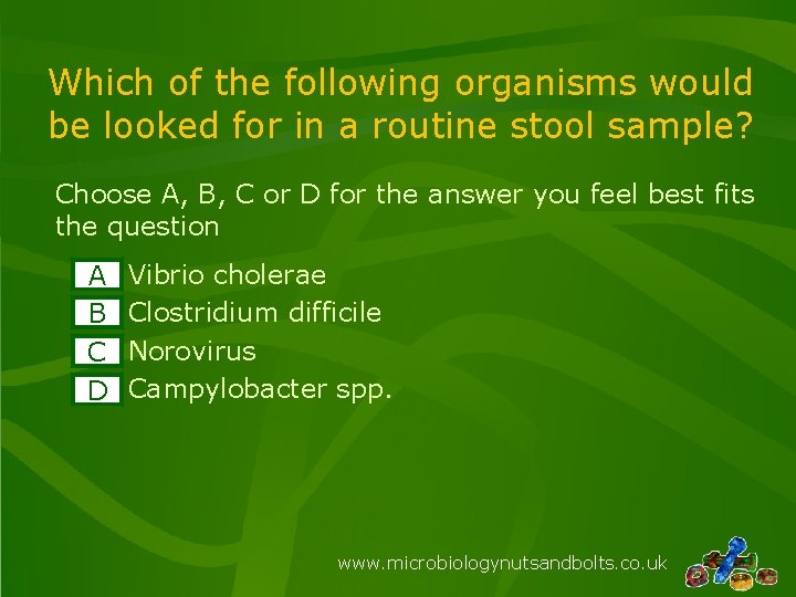 Which of the following organisms would be looked for in a routine stool sample?