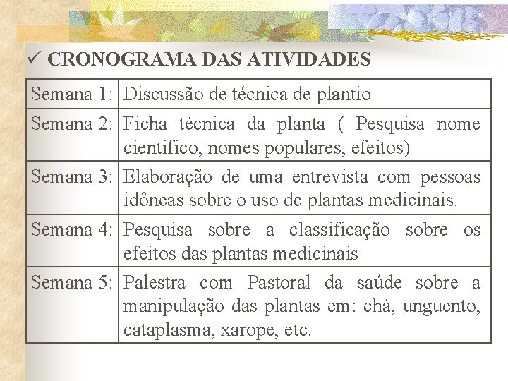 ü CRONOGRAMA DAS ATIVIDADES Semana 1: Discussão de técnica de plantio Semana 2: Ficha