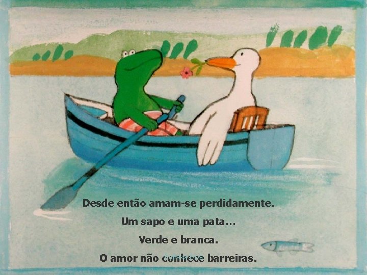 Desde então amam-se perdidamente. Um sapo e uma pata… Verde e branca. Eufrásia Bica