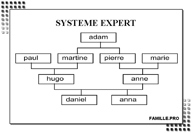 SYSTEME EXPERT FAMILLE. PRO 