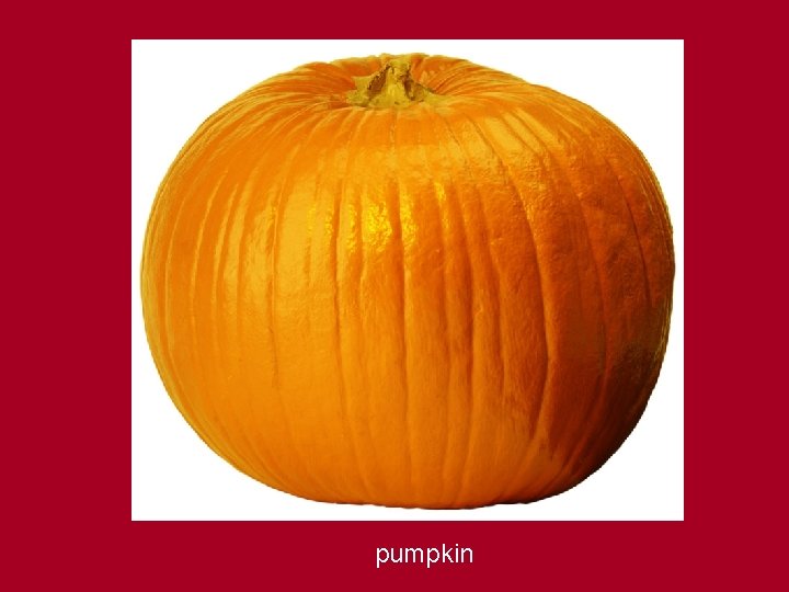 pumpkin 