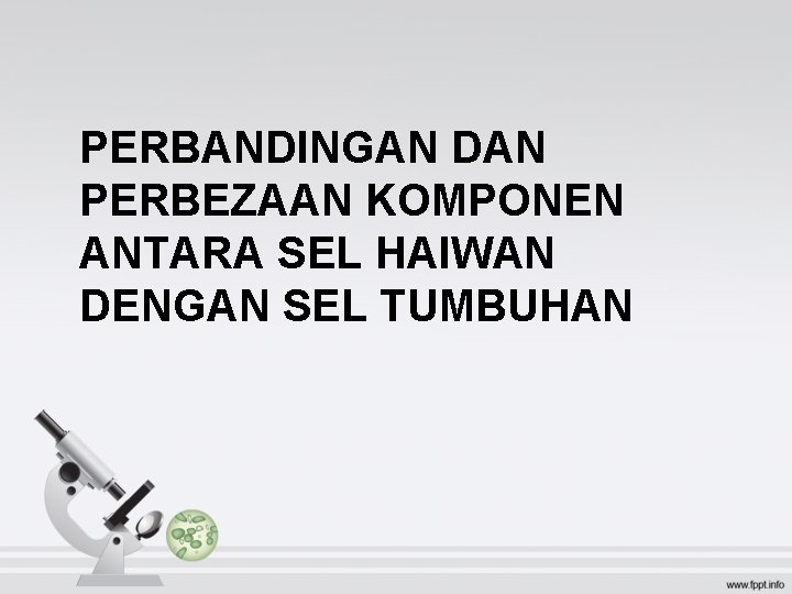 PERBANDINGAN DAN PERBEZAAN KOMPONEN ANTARA SEL HAIWAN DENGAN SEL TUMBUHAN 