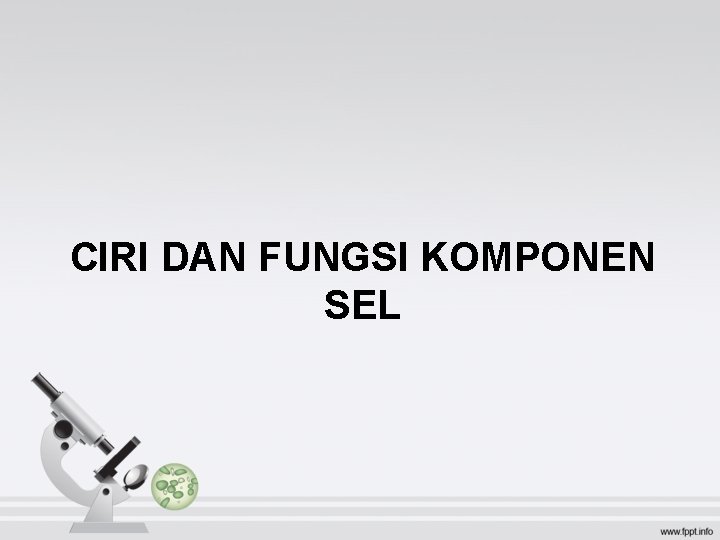 CIRI DAN FUNGSI KOMPONEN SEL 