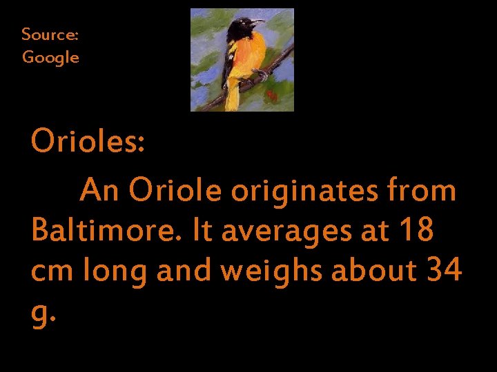 Source: Google Orioles: An Oriole originates from Baltimore. It averages at 18 cm long