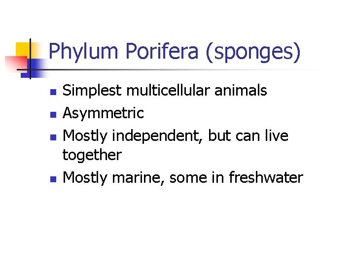 Phylum Porifera (sponges) n n Simplest multicellular animals Asymmetric Mostly independent, but can live