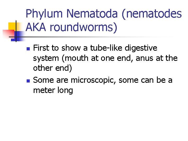 Phylum Nematoda (nematodes AKA roundworms) n n First to show a tube-like digestive system