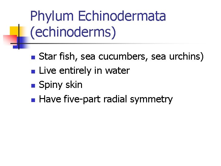 Phylum Echinodermata (echinoderms) n n Star fish, sea cucumbers, sea urchins) Live entirely in