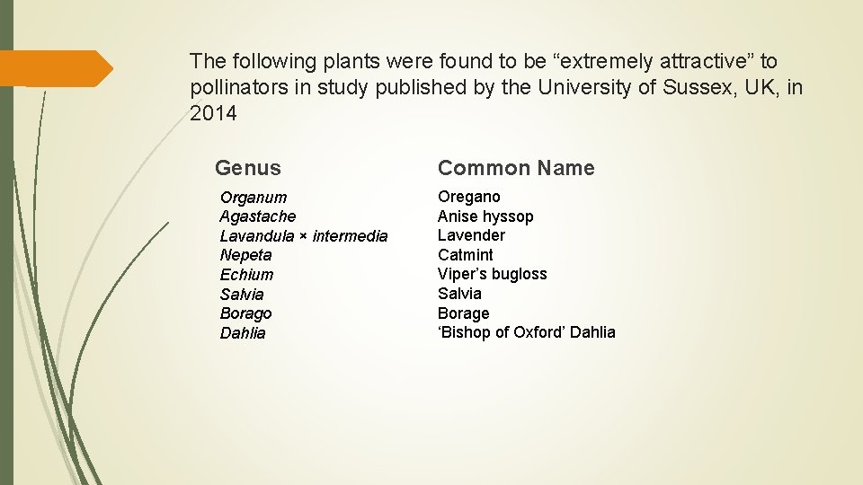 The following plants were found to be “extremely attractive” to pollinators in study published