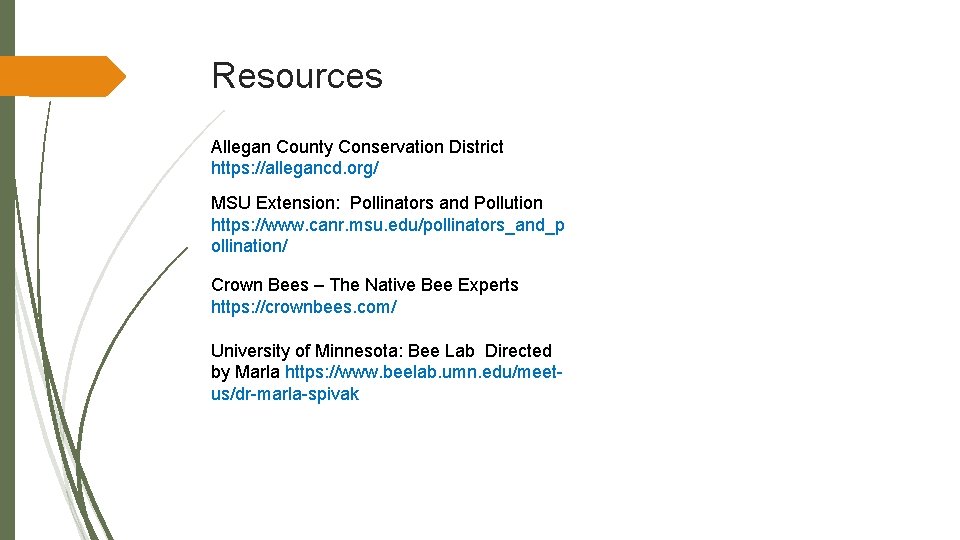 Resources Allegan County Conservation District https: //allegancd. org/ MSU Extension: Pollinators and Pollution https: