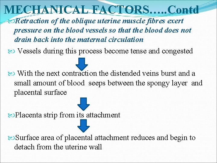 MECHANICAL FACTORS…. . Contd Retraction of the oblique uterine muscle fibres exert pressure on