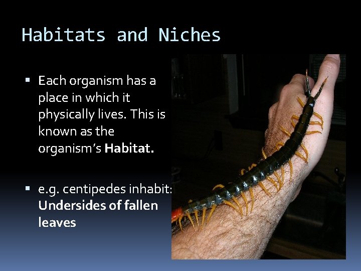 Habitats and Niches Each organism has a place in which it physically lives. This