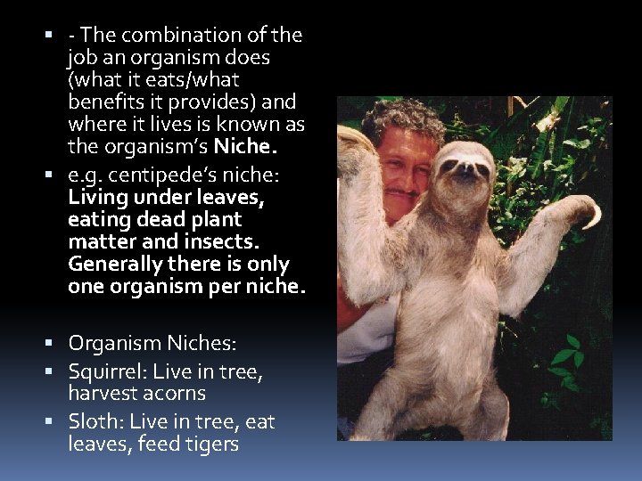  - The combination of the job an organism does (what it eats/what benefits