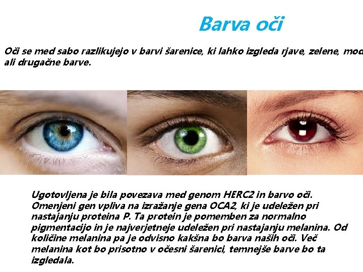 Barva oči Oči se med sabo razlikujejo v barvi šarenice, ki lahko izgleda rjave,