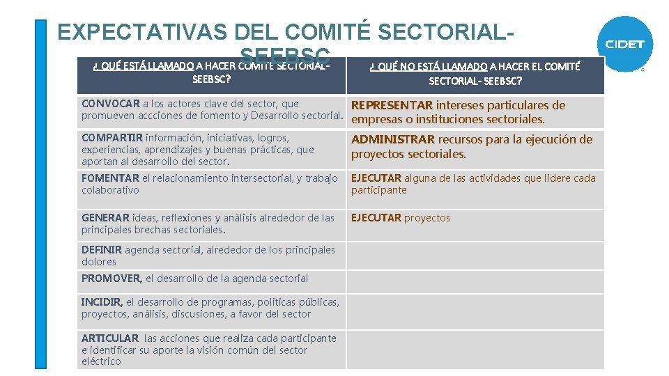 EXPECTATIVAS DEL COMITÉ SECTORIALSEEBSC ¿ QUÉ ESTÁ LLAMADO A HACER COMITÉ SECTORIAL¿ QUÉ NO