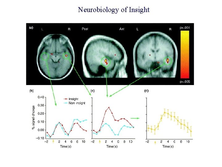 Neurobiology of Insight 