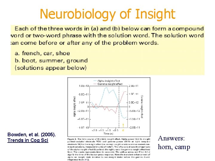 Neurobiology of Insight Bowden, et al. (2005). Trends in Cog Sci Answers: horn, camp