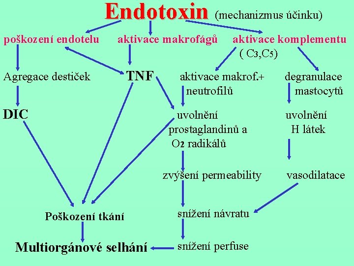 Endotoxin (mechanizmus účinku) poškození endotelu aktivace makrofágů Agregace destiček TNF DIC aktivace komplementu (