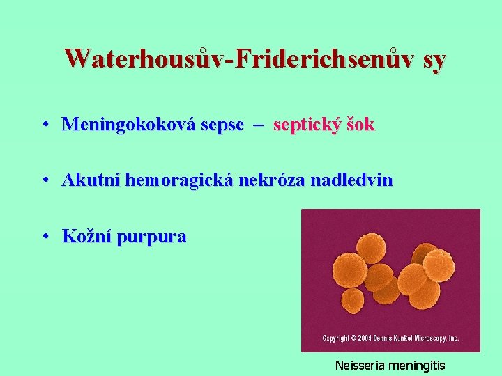 Waterhousův-Friderichsenův sy • Meningokoková sepse – septický šok • Akutní hemoragická nekróza nadledvin •