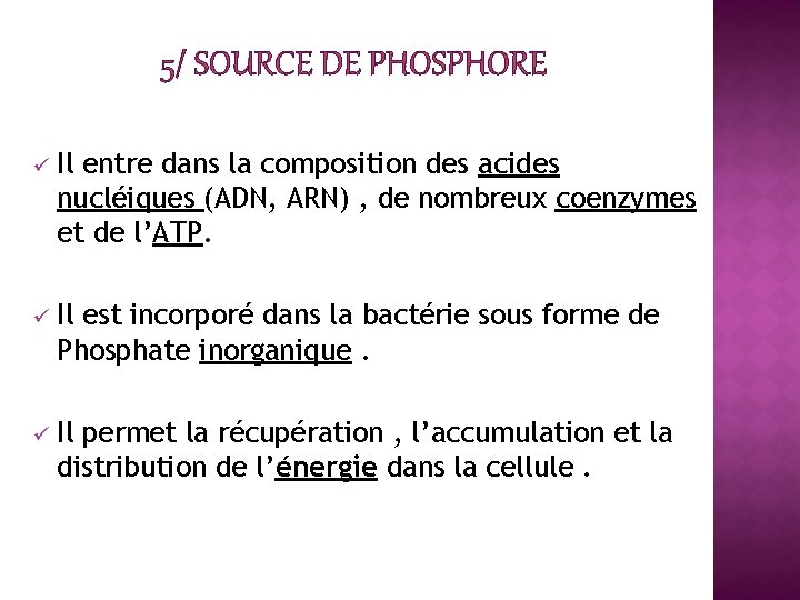 5/ SOURCE DE PHOSPHORE ü Il entre dans la composition des acides nucléiques (ADN,