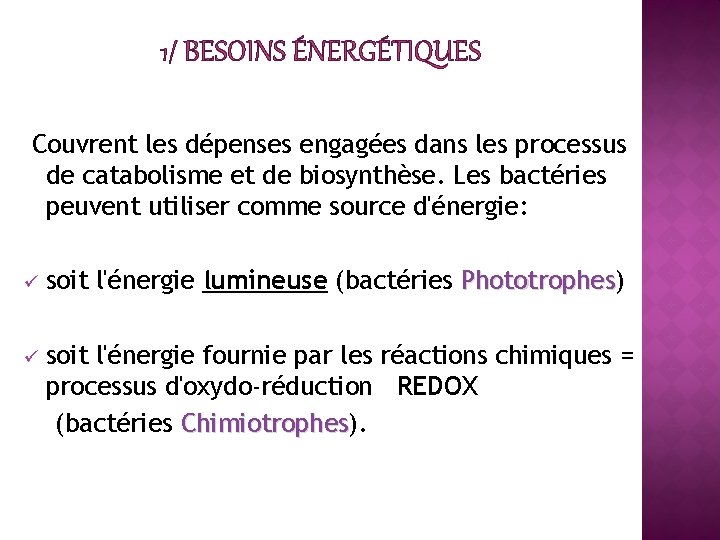 1/ BESOINS ÉNERGÉTIQUES Couvrent les dépenses engagées dans les processus de catabolisme et de