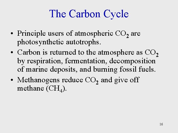 The Carbon Cycle • Principle users of atmospheric CO 2 are photosynthetic autotrophs. •