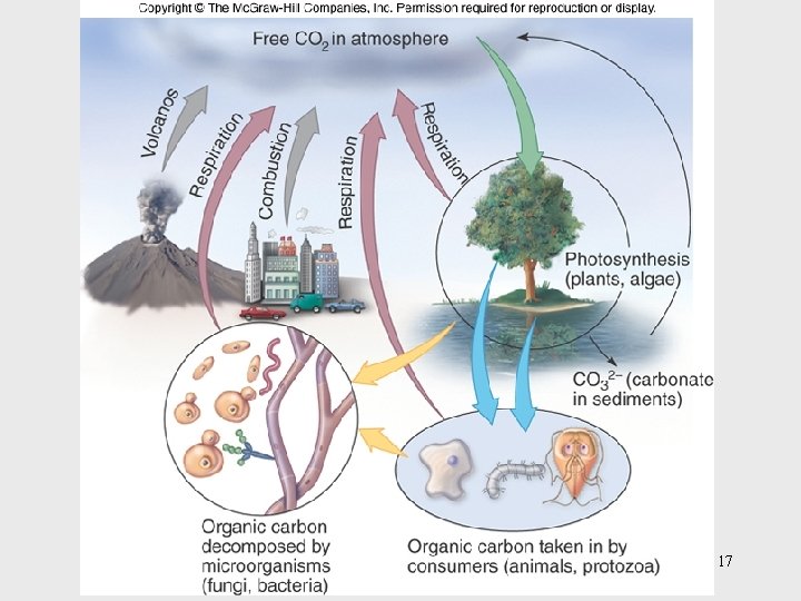 Insert figure 26. 6 The carbon cycle 17 
