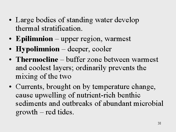  • Large bodies of standing water develop thermal stratification. • Epilimnion – upper