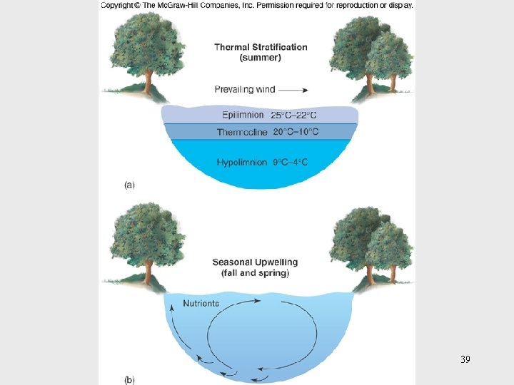 Insert figure 26. 19 Profiles of a lake 39 