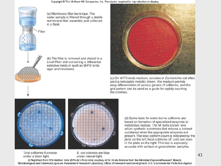 Insert figure 26. 22 Methods of water analysis 43 