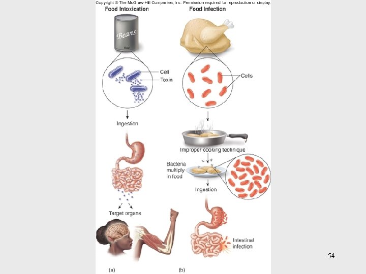 Insert figure 26. 31 Food-borne illnesses 54 