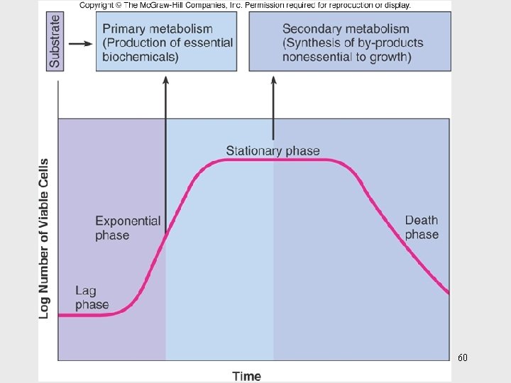 Insert figure 26. 35 Origins of metabolites 60 