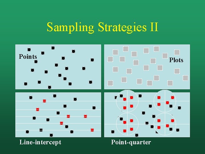 Sampling Strategies II Points Line-intercept Plots Point-quarter 