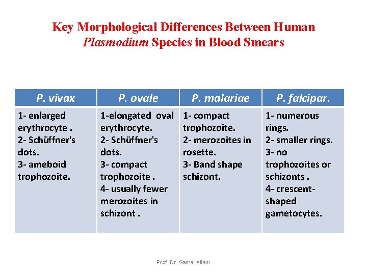 Key Morphological Differences Between Human Plasmodium Species in Blood Smears P. vivax 1 -