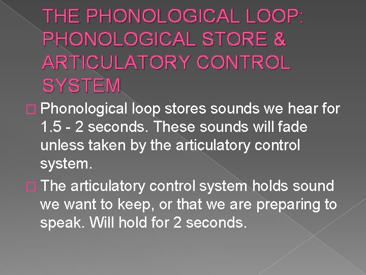 THE PHONOLOGICAL LOOP: PHONOLOGICAL STORE & ARTICULATORY CONTROL SYSTEM � Phonological loop stores sounds