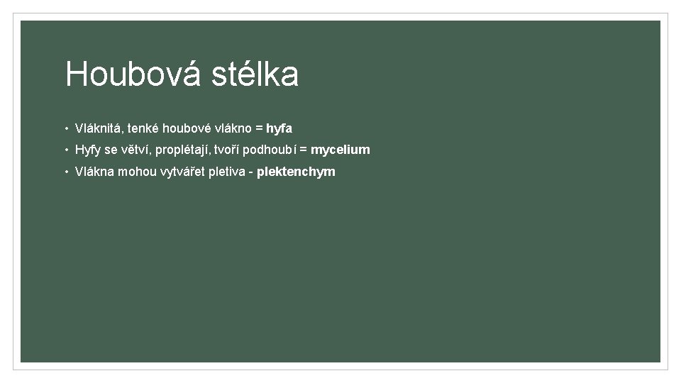 Houbová stélka • Vláknitá, tenké houbové vlákno = hyfa • Hyfy se větví, proplétají,