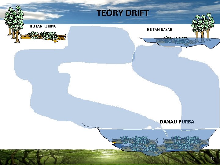 TEORY DRIFT HUTAN KERING HUTAN BASAH DANAU PURBA 12 