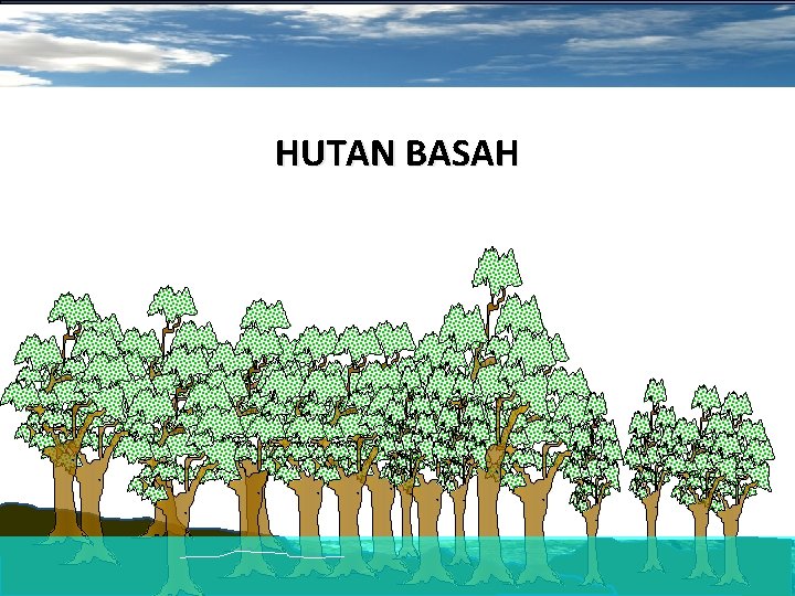 HUTAN BASAH 6 