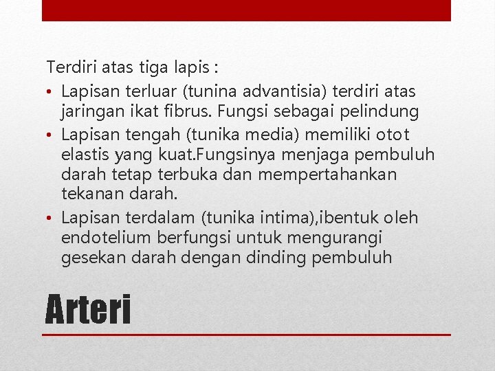 Terdiri atas tiga lapis : • Lapisan terluar (tunina advantisia) terdiri atas jaringan ikat