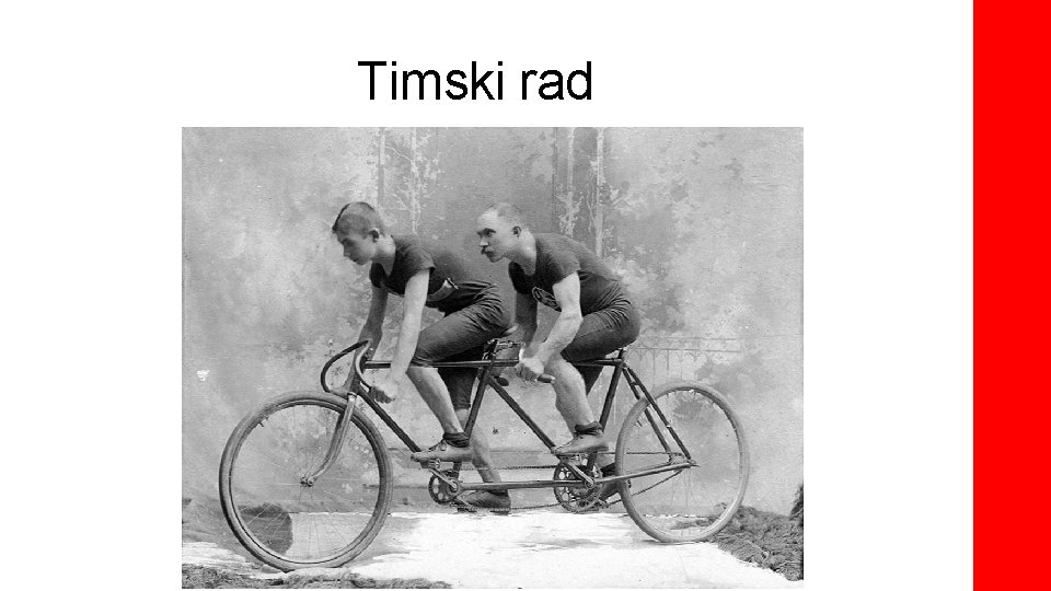 Timski rad 