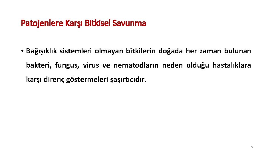 Patojenlere Karşı Bitkisel Savunma • Bağışıklık sistemleri olmayan bitkilerin doğada her zaman bulunan bakteri,