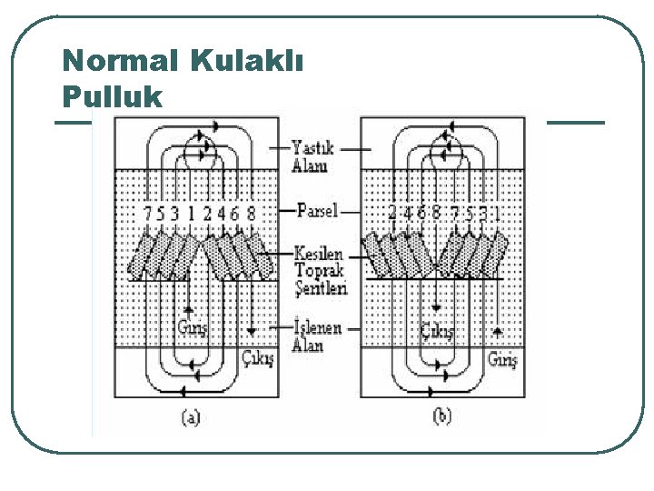 Normal Kulaklı Pulluk 