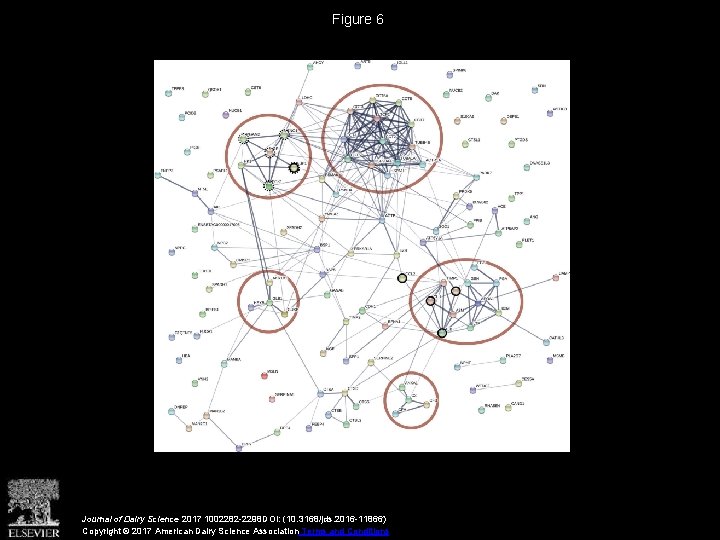 Figure 6 Journal of Dairy Science 2017 1002282 -2298 DOI: (10. 3168/jds. 2016 -11866)