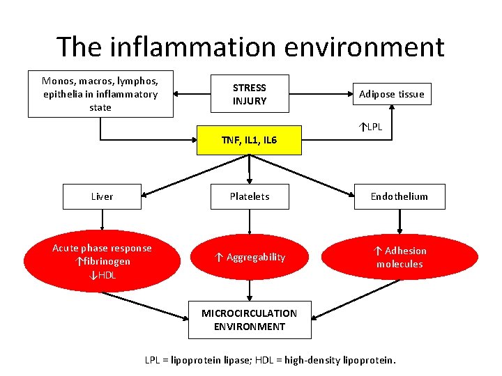 The inflammation environment Monos, macros, lymphos, epithelia in inflammatory state STRESS INJURY TNF, IL