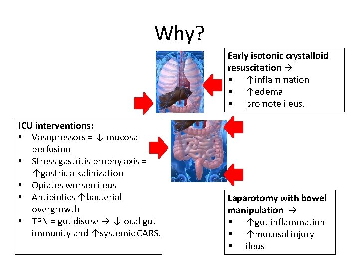Why? Early isotonic crystalloid resuscitation → § ↑inflammation § ↑edema § promote ileus. ICU