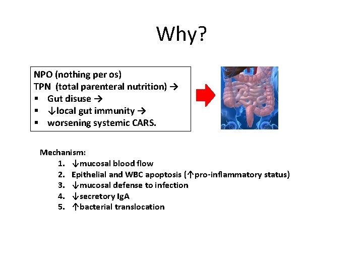 Why? NPO (nothing per os) TPN (total parenteral nutrition) → § Gut disuse →