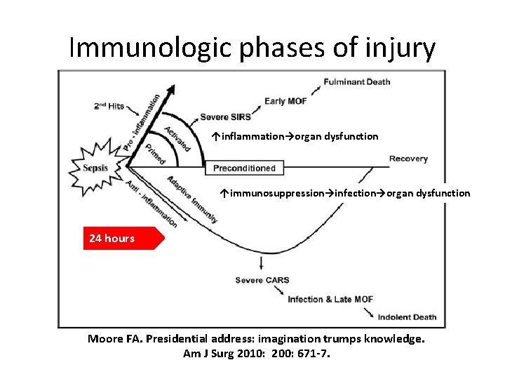Immunologic phases of injury ↑inflammation→organ dysfunction ↑immunosuppression→infection→organ dysfunction 24 hours Moore FA. Presidential address: