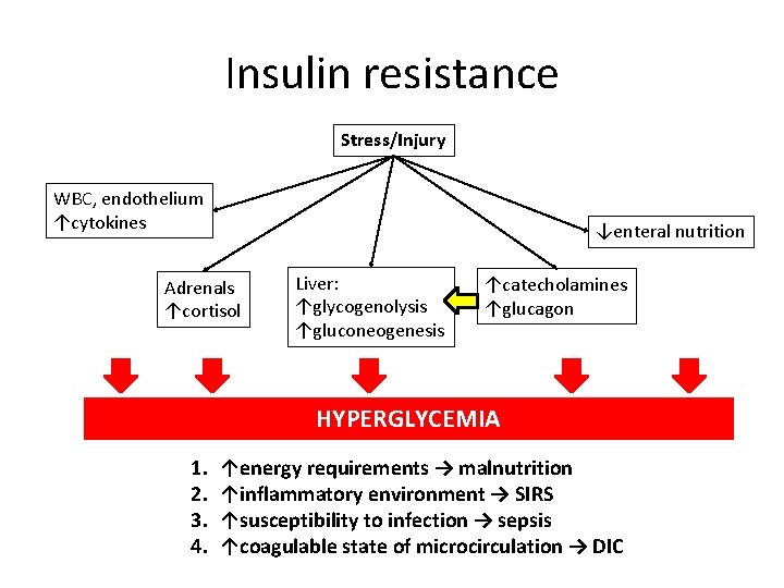 Insulin resistance Stress/Injury WBC, endothelium ↑cytokines ↓enteral nutrition Adrenals ↑cortisol Liver: ↑glycogenolysis ↑gluconeogenesis ↑catecholamines
