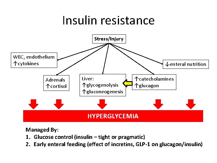 Insulin resistance Stress/Injury WBC, endothelium ↑cytokines Adrenals ↑cortisol ↓enteral nutrition Liver: ↑glycogenolysis ↑gluconeogenesis ↑catecholamines