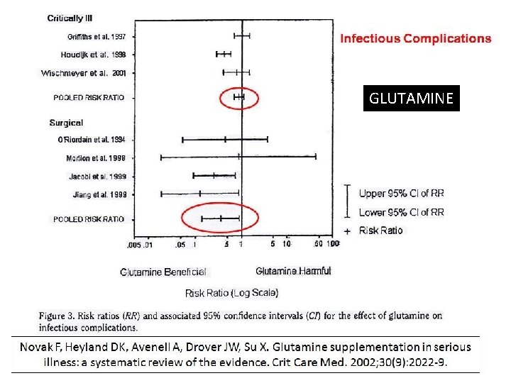 GLUTAMINE 